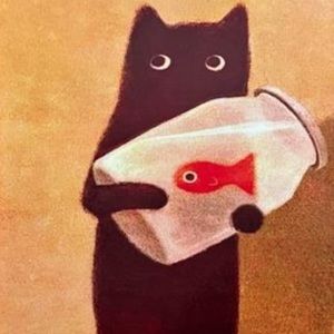 Meet your Posher, Kyle